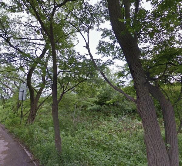 Банкомат МТС-Банка по адресу проспект 100-летия Владивостока 57д